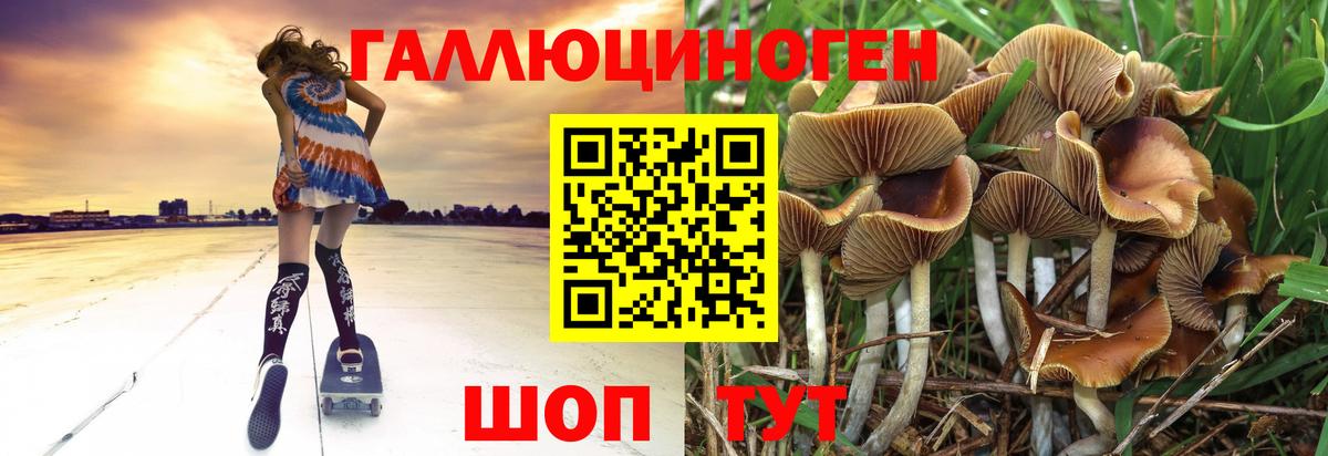 Луга  Галлюциногенные грибы GOLDEN TEACHER  Вход с VPN  Псилоцибиновые грибы мухоморы 